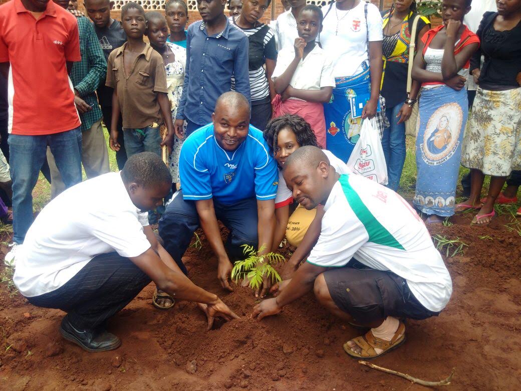 YCW Leaders Jointly Plant a tree