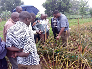 Diocese Farm Managers from Uganda out on a field training