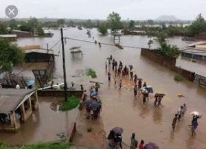 Displaced people moving in search of safe shelter