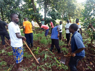 Seminarians digging in the Seminary garden