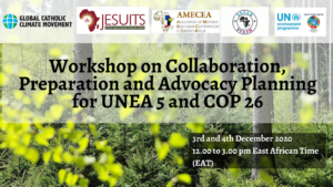 UNEA 5 and COP 26