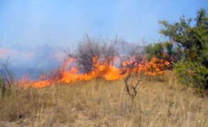 Wildfire Western Equatoria Guinea State, South Sudan