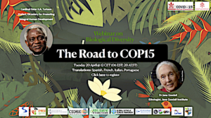 Logo announcing Webinar on The road to COP15