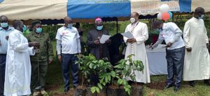 Archbishop Anyolo in Black Carssock, Archbishop Muheria in white Carssock during tree planting event in Kisumu Archdiocese. Credit; ADOK Communications Facebook