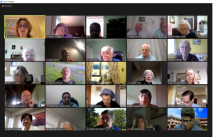 A section of participants during the webinar session on Healthy planet, healthy people