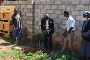 ZCCB Secretary General Father Francis Mukosa planting a fruit tree