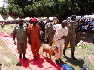 Members of the Uganda Police Force and the Uganda Prison Service presenting their gift of a goat in a procession to the Papal Nuncio during his Pastoral visit to Dokolo and Aloi Deanaries (1)