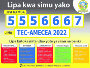 TEC-AMECEA-2022 lipa
