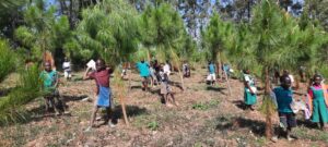 EACH CHILD POSE WITH A TREE THEY PLANTED