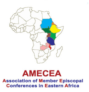 amecea cover.cdr