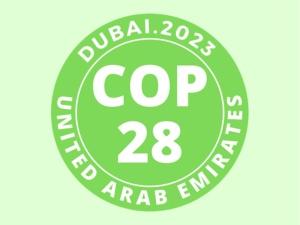 COP 28