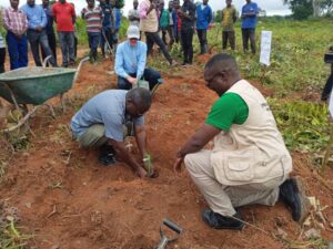 His lordship Bishop John Ryan and Auxiliary Bishop Yohane Suzgo Nyirenda during the 2024 Tree planting season launch