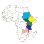 AMECEA: Subsidiarity Office Created at AMECEA to Coordinate Mission Aachen Local Projects