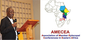 AMECEA@0.3x