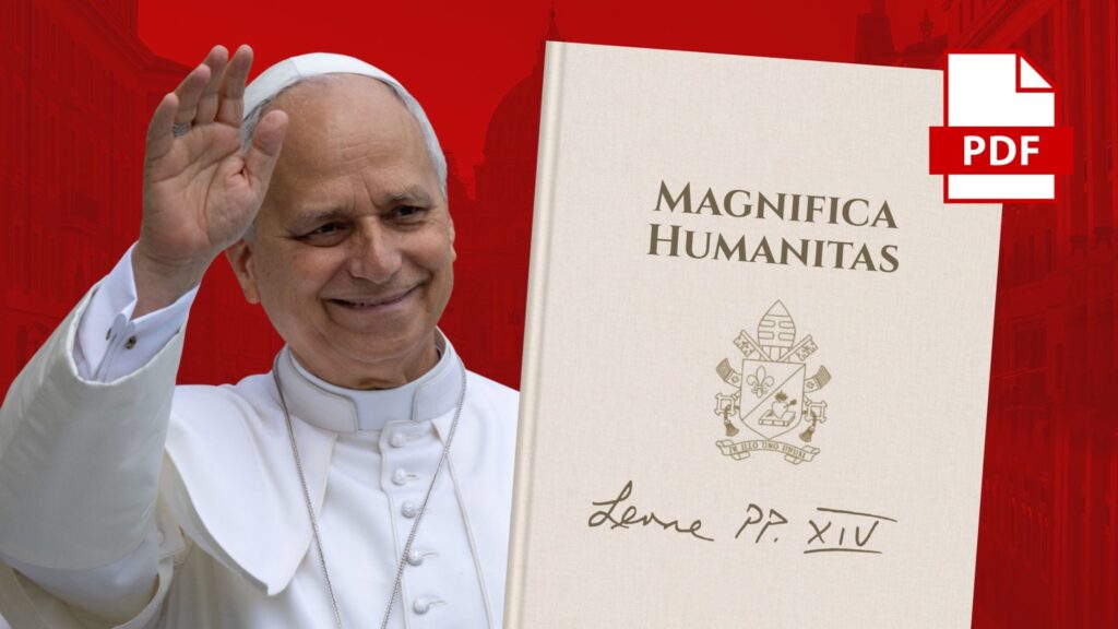 Pope Leo XIV- courtesy photo