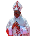 SECAM: At First Pontificate Anniversary, African Church Praises Pope Leo XIV’s Pastoral Closeness
