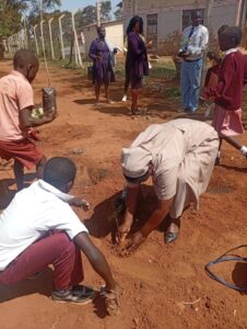 Tree Planting at Awelo Primary; Credit Sr. Isabelle
